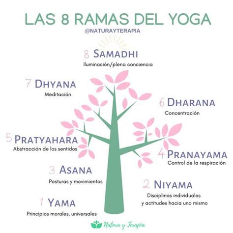 Los Ocho Pasos Del Yoga Rutina De Yoga Para Principiantes Yoga