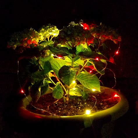 Owning a property that hasn't the ideal outdoor illumination is not too safe. Solar Powered LED Fairy Lights - 16.5 Foot - Waterproof ...