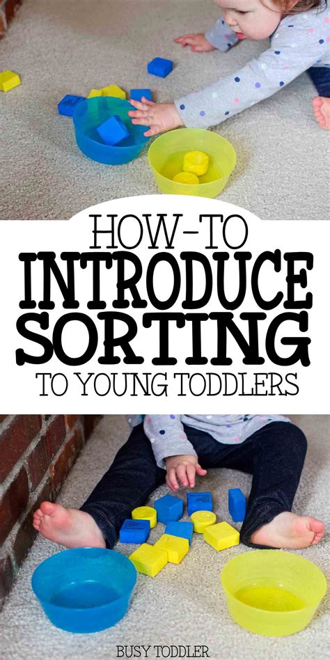 Introducing Sorting Teaching Young Toddlers A First Lesson In