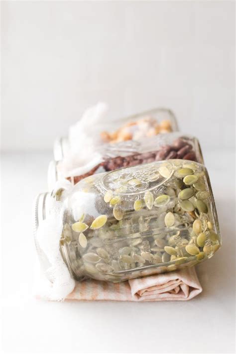how to sprout soak and activate your food at home veggiekins blog sprouts sprout recipes