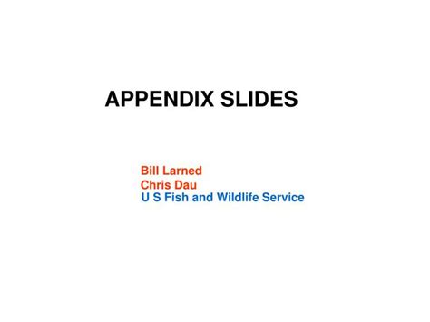 Ppt Appendix Slides Powerpoint Presentation Free Download Id3505852