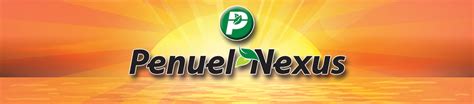Penuel Nexus Pvt Ltd