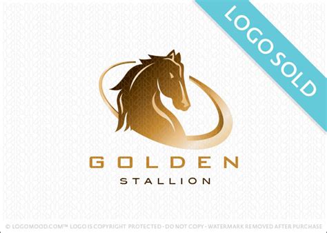 Golden Stallion Horse Buy Premade Readymade Logos For Sale