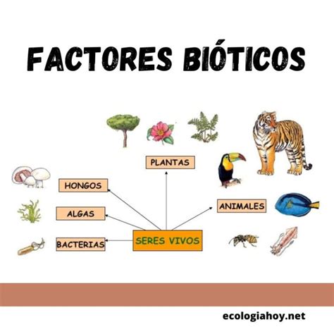 Factores Bi Ticos Ecolog A Hoy