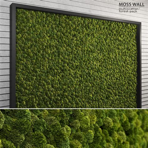 With this software you will be able to simulate large areas such. 3D max moss wall multiscatter