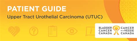 Upper Tract Urothelial Carcinoma Utuc Patient Guide Bladder