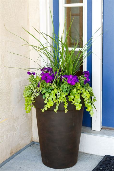 Bunch a few together when planting for best impact. Welcome Spring: 17 Great DIY Flower Pot Ideas for Front ...