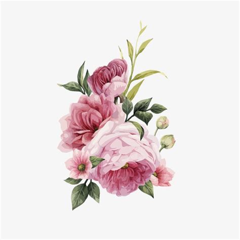 Hd Hand Painted Watercolor Roses Vector Rose Pink Hand Painted Png