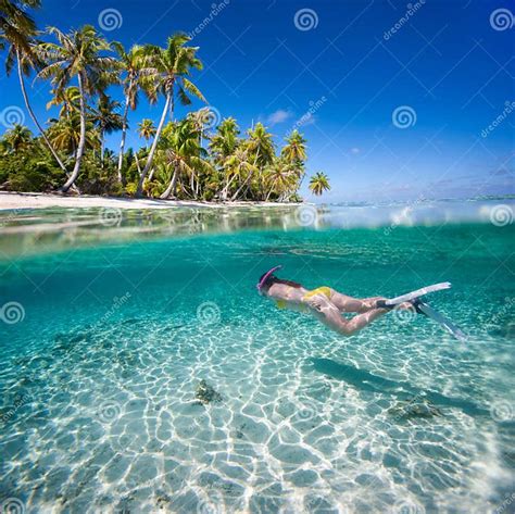 Woman Swimming Underwater Stock Image Image Of Bikini 35074193