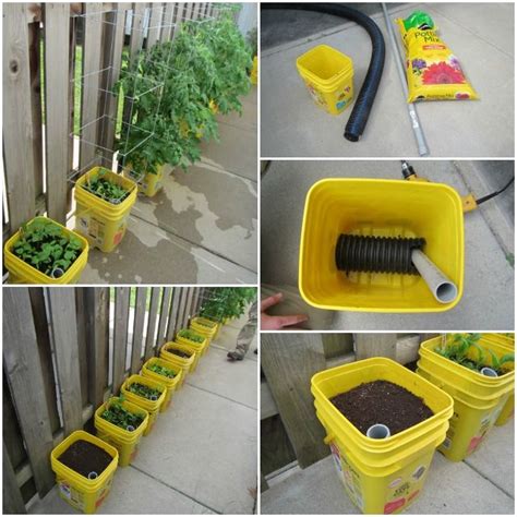 Diy Self Watering Container Garden Diy Self Watering Planter Self