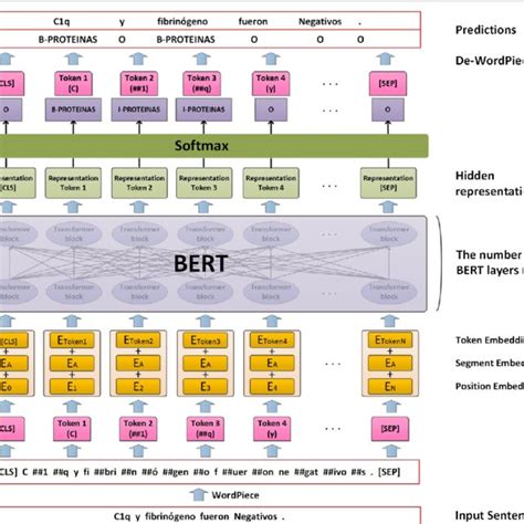 The Architecture Of The Bert Model Download Scientific Diagram