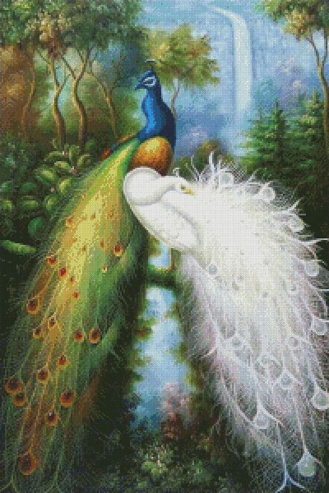 Two Peacocks Counted Cross Stitch Patterns Printable Chart Etsy