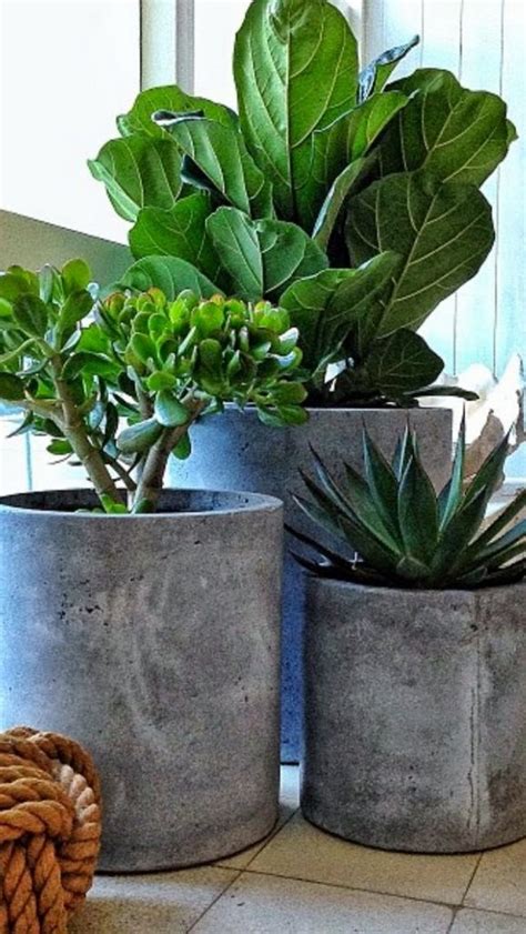 Concrete planters and garden ornamentation are a wonderful addition to the outdoor setting around one's home. How to make your own concrete planter | The Owner-Builder ...