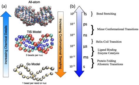 Molecular Dynamics Approaches At Different Levels Of Chemical Detail