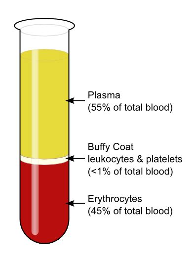 Blood Fractionation Wikipedia