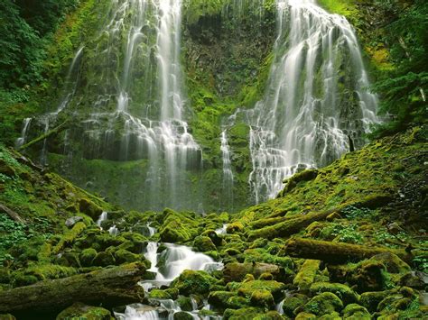 Proxy Falls Oregon 1920 × 1440 Beautiful Waterfalls Nature Water