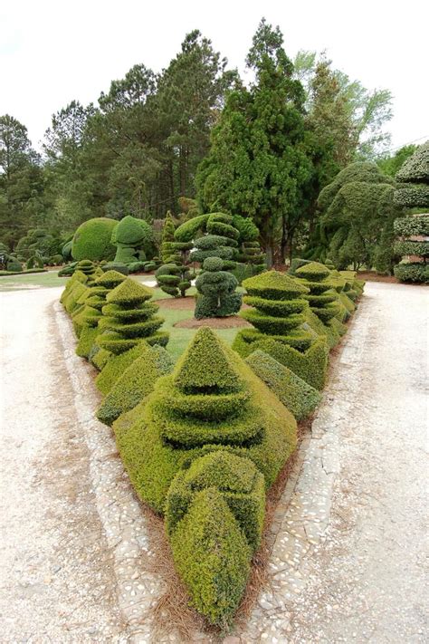 Incredible Topiaries Hgtv Topiary Garden Topiary Trees Garden Art