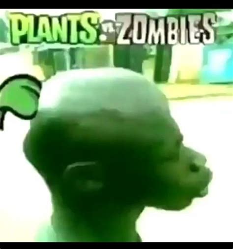 Plants Vs Zombies Funny Pictures Really Funny Pictures Funny
