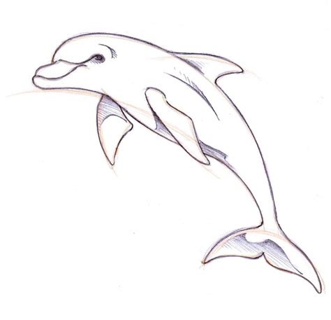 Dolphin Easy Drawing At Explore Collection Of