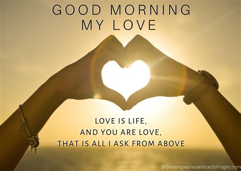Goodmorning My Love Quotes Messages Images Greeting Wishes And