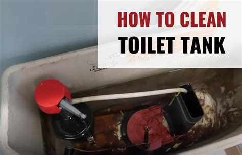 How To Clean Toilet Tank Inside Diy Hacks Best Cleaners Toiletseek