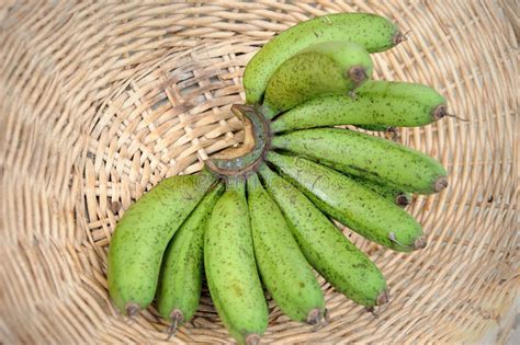 Fresh Bananas Stock Photo Image Of Basket Banana Yellow 24689456