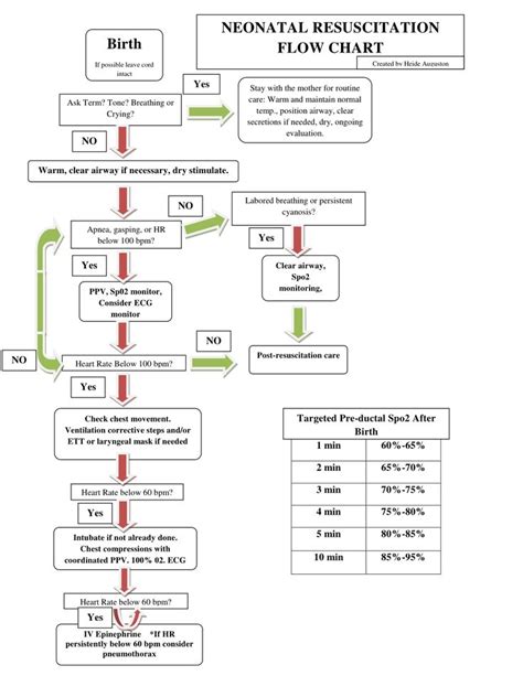 Neonatal Resuscitation Program Malaysia Melanie Grant