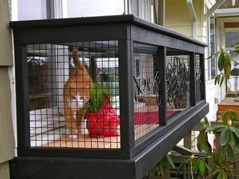 Best Outdoor Runs And Enclosures For Cats Keeping Cats Happy And Safe