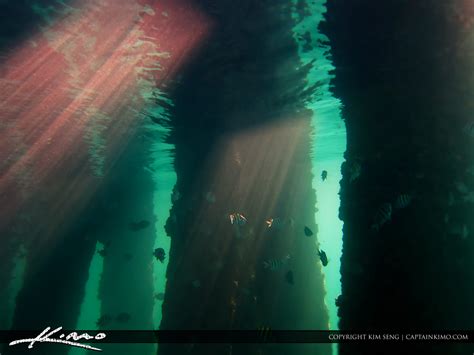 Pillars Of Light Underwater Photography Snorkeling Hdr Photography By