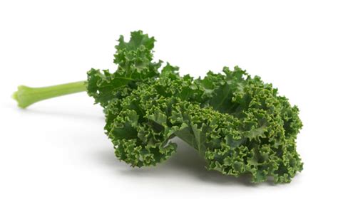 Kale The Hottest Vegetable This Season Life And Style The Guardian