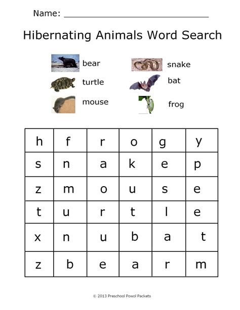hibernating word search suitable  prek kindergarten worksheets kindergarten worksheets