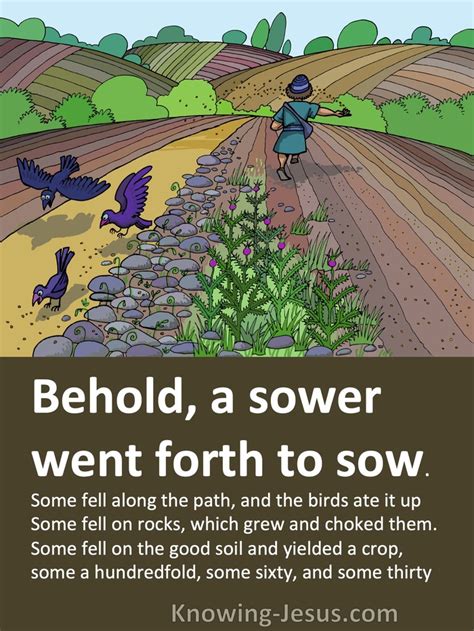Matthew 134 And As He Sowed Some Seeds Fell Beside The Road And The