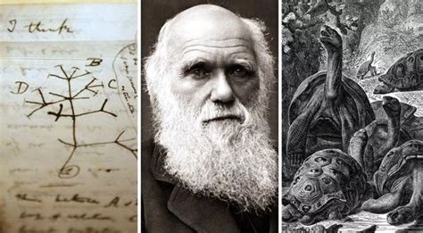 El Origen De Las Especies Charles Darwin