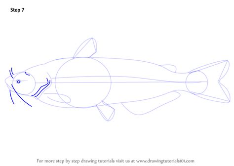 Draw a card if this axie attacks at the beginning of the round. Learn How to Draw a Blue Catfish (Fishes) Step by Step ...