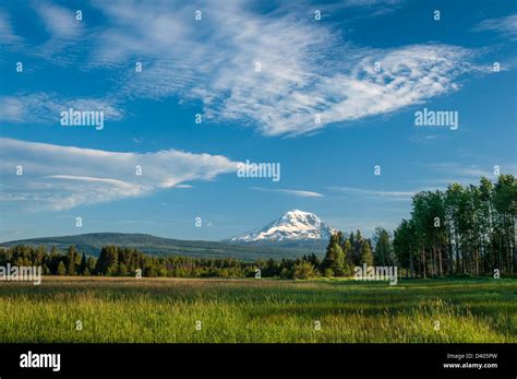 Mount Adams From Conboy Lake National Wildlife Refuge Washington Stock