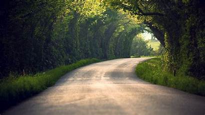Path Road Nature Blurred Trees Tunnel Landscape