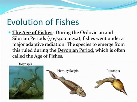 Ppt Fish Powerpoint Presentation Free Download Id1915096