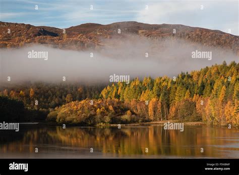 Autumn Colors And Mist At Loch Faskally Pitlochry Perthshire