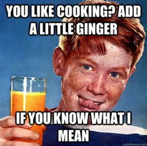 Pin By Jenny Q On Things That Make Me Giggle Ginger Jokes Ginger