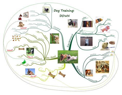 Dog Training Down Mind Map Mind Map Mind Map Template I Mind Map