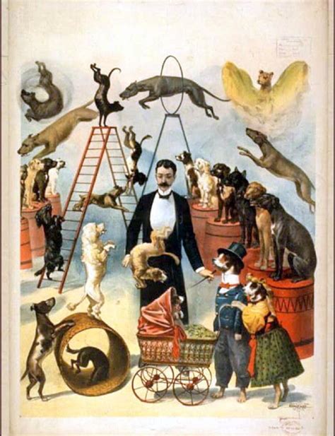Vintage Circus 1800s Dog Show Circus Animal Acts Dog Etsy