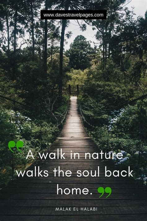 Take A Walk In Nature Quotes Best Event In The World