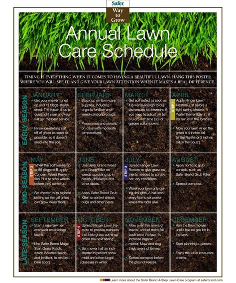 Month By Month Annual Lawn Care Schedule Timing Is Everything When It
