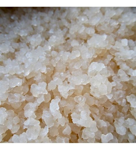 Water Kefir Grains With Instructions And Recipes
