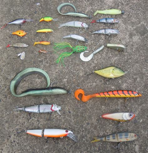 River Piker New To Lure Fishing The Casual Lure Anglers Guide