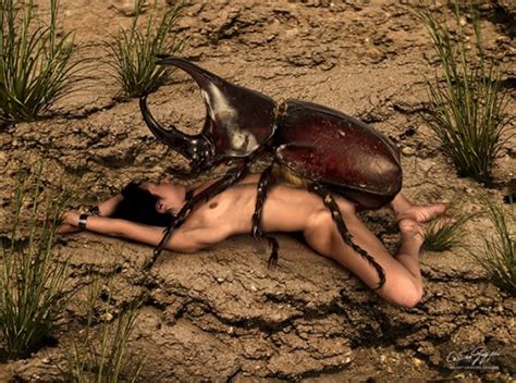 Insex Love Position With Insects Erotic Art