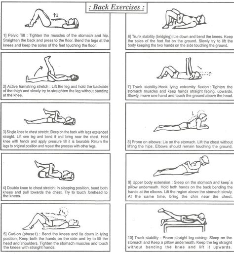 Williams Flexion Exercises 28959 Dfiles