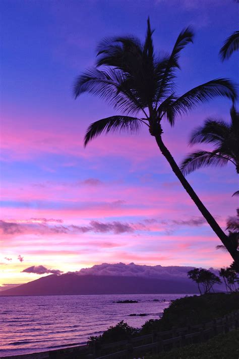 Maui Sunset 美しい自然 美しい風景 風景