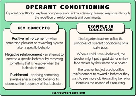 13 Operant Conditioning Examples 2023