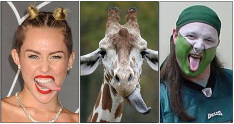 If Miley Cyrus And A Giraffe Had A Baby It Might Look Like Me Cute